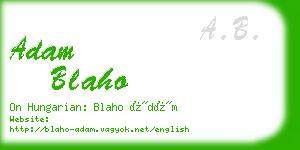 adam blaho business card